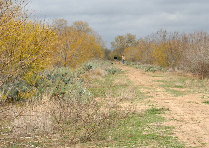 Hogstickers hunt, January, 2012 - image