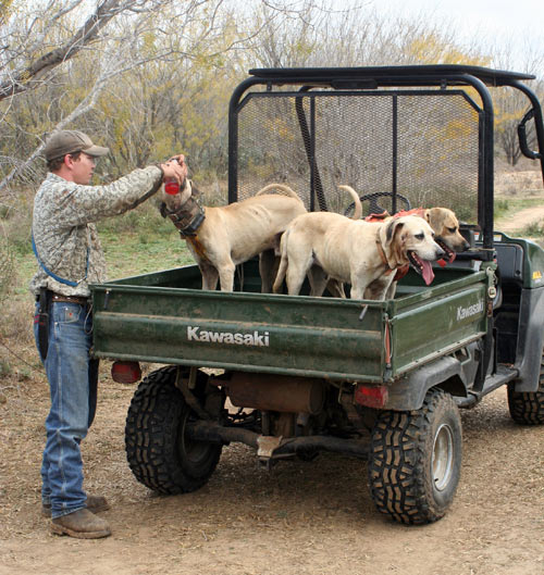 Hogstickers hunt, January, 2012 - image